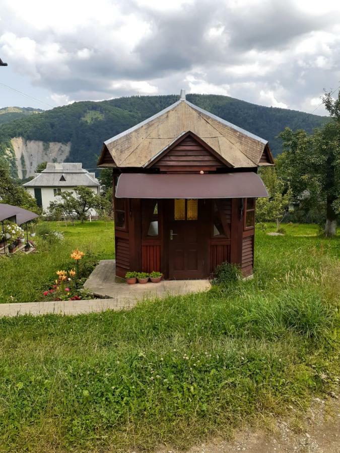 Kатруся Hotell Jaremtsje Eksteriør bilde